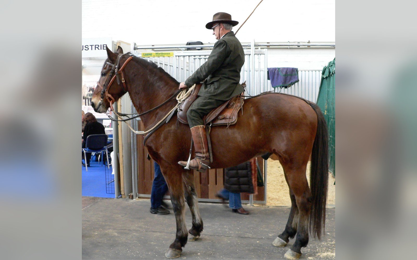 A rider in traditional hat and boots sits atop a brown horse indoors