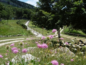 Botanical Garden - prolococapracotta.com